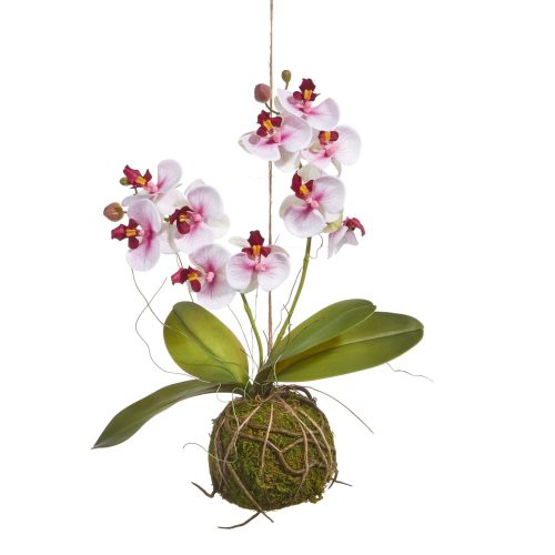 white and pink orchid decor